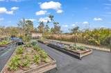 29350 Sam Way - Photo 50