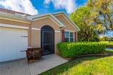 7812 Mikasa Drive - Photo 8