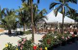440 Useppa Island - Photo 21