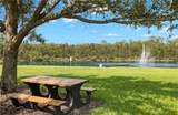 3009 Palmetto Oak Drive - Photo 44