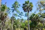 22901 Bayshore Road - Photo 10