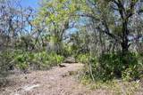 3832 Wildcat Run Road - Photo 11