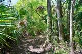 3832 Wildcat Run Road - Photo 12