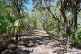 3832 Wildcat Run Road - Photo 18
