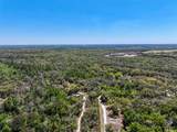 3832 Wildcat Run Road - Photo 30