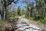 3832 Wildcat Run Road - Photo 33