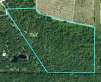 3832 Wildcat Run Road - Photo 34