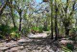 3832 Wildcat Run Road - Photo 4
