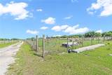 1321 Bluff Hammock Road - Photo 53