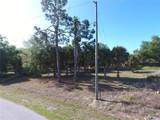 2324 Price Boulevard - Photo 43