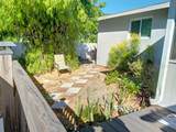 323 Dolphin Parkway - Photo 19
