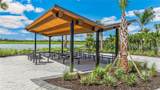 26233 Coral Lakes Drive - Photo 16