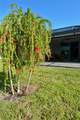 25161 Lenox Circle - Photo 8