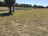24487 Gijon Lane - Photo 9