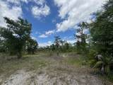 29305 Hazelwood Drive - Photo 17