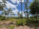 29305 Hazelwood Drive - Photo 18