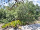 Lot 25 Hamer Terrace - Photo 7