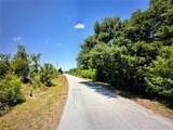 13357 Amaryllis Cir - Photo 2