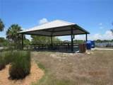 13357 Amaryllis Cir - Photo 7