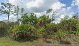 Lot 17 Firebird Road - Photo 1