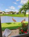24615 Buckingham Way - Photo 9
