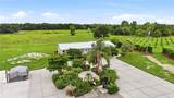 11354 South Hog Bay Avenue - Photo 54