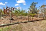 29350 Sam Way - Photo 63