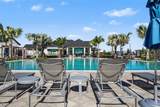44353 Panther Drive - Photo 49