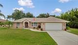 7360 Ficus Tree - Photo 1