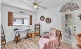 7360 Ficus Tree - Photo 14