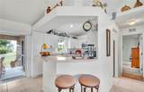 7360 Ficus Tree - Photo 17