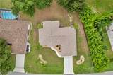 7360 Ficus Tree - Photo 20