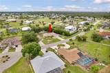 7360 Ficus Tree - Photo 22