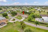7360 Ficus Tree - Photo 23
