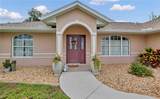 7360 Ficus Tree - Photo 24