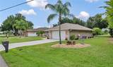 7360 Ficus Tree - Photo 25
