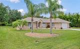 7360 Ficus Tree - Photo 26