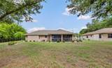 7360 Ficus Tree - Photo 28