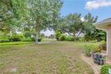 7360 Ficus Tree - Photo 29