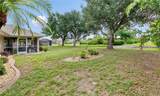 7360 Ficus Tree - Photo 30