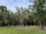  Se Brown Road - Photo 4