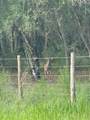  Se Brown Road - Photo 9