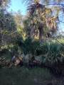 1901 Graham Road - Photo 13