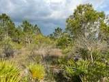 50530 Bermont Road - Photo 15