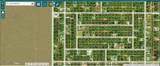 12068 Alumna Avenue - Photo 4