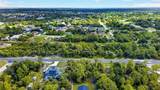 18303 Hillsborough Boulevard - Photo 5