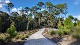 42364 Edgewater Drive - Photo 49