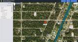 1011 Berthoud Street - Photo 20