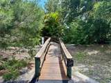 530 Woodstork Lane - Photo 8