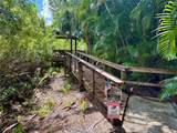 530 Woodstork Lane - Photo 9